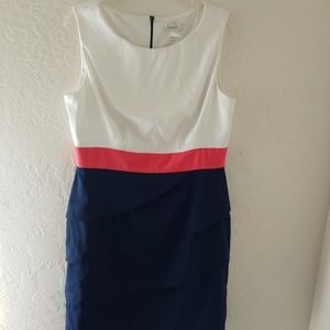 DressBarn Sleeveless Dress 14
